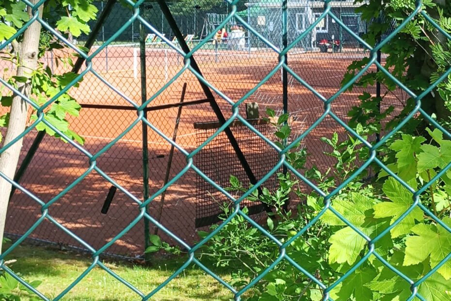 Mein neuer Trainings- und Ernährungsplan