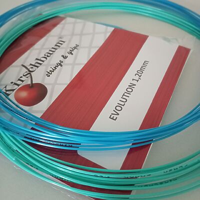 Kirschbaum Flash Shark mit Kirschbaum Evolution